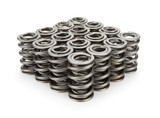 1.550 Dual Valve Springs (16)