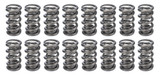 1.500 Dual Valve Springs (16)