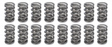 1.500 Dual Valve Springs (16)