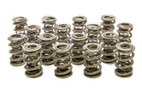 1.645 Triple Valve Springs (16)