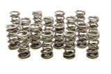 1.500 Dual Valve Springs (16)