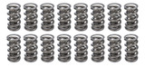 1.500 Dual Valve Springs (16)