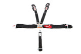 5-PT Harness System LL P/U B/I Ind 62in