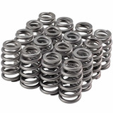 Valve Spring Set Beehive 1.023/1.250
