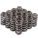 Valve Spring Set GM LS 1.268 Dual
