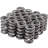Valve Spring Set GM LS 1.304 Dual