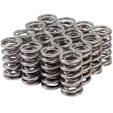 1.305 Valve Spring Set Dual  LS .660 Lift
