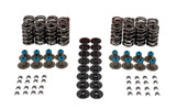 Valve Spring Kit GM LS