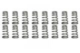 Conical Valve Springs 1.020/1.290