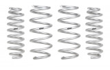 Pro Lift Kit Ford Bronco (Front & Rear Springs)
