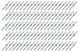 Small Head Rivet Silver 100pc 3/16in