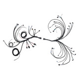 Primary Image (MotorState Sync)