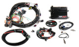 HP ECU & Harness LS1/LS6 NTK