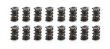 1.600 Triple Valve Spring Set (16)
