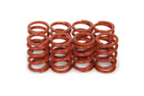 1.095 Valve Spring Set Outer (8pk)