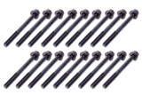 Cylinder Head Bolts GM Duramax