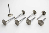 SBC R/M 1.600in Exhaust Valves - LS1