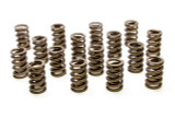 1.260 Single Valve Springs w/Damper - (16)