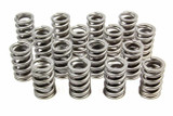 1.260 Single Valve Springs RPM Series (16)