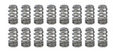 1.445 Valve Springs - Ovate Beehive (16)