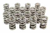 1.274 Dual Valve Springs - (16) GM LS