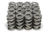 1.550 Dual Valve Springs (16)