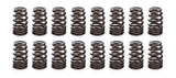 1.282 Valve Springs - Ovate Beehive (16)