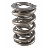 1.500 Dual Valve Springs - (16)