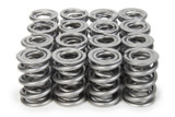 1.570 Dual Valve Springs 1300 Series C/T