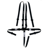 Harness 5pt Black Indiv Shoulder 2in Pull-Down
