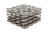 1.500 Dual Valve Springs (16)
