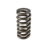 1.307 Valve Spring - Ovate Beehive (1)