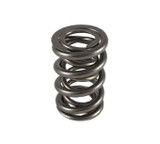 1.550 Dual Valve Spring (1)