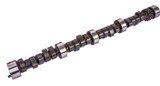 Buick 215 Hyd Camshaft
