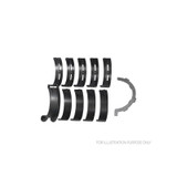 Main Bearing Set  - Ford 5.0L Coyote