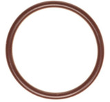 Fuel Pump O-Ring 18-24 Ford 5.0L