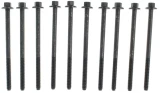 Head Bolt Set 11-12 Ford 5.0L