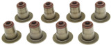 Int Vlv Stm Oil Seal Set 05-10 Hemi 6.1L