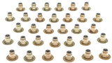 Valve Stem Oil Seal Set 18-24 Ford 5.0L
