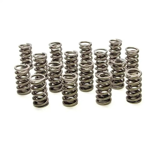 Dual Valve Springs - (16) GM LS