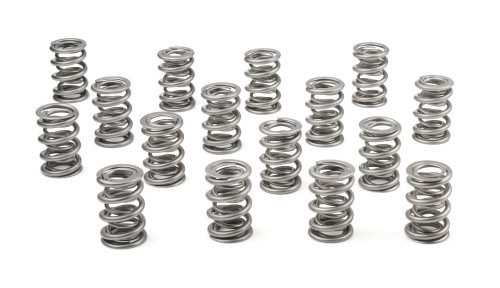 1.625 Dual Valve Springs (16)