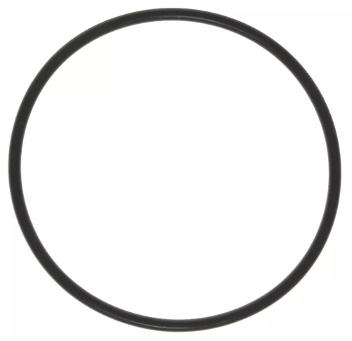 Thermostat Seal 97-03 GM 4.8 5.3 5.7 6.0