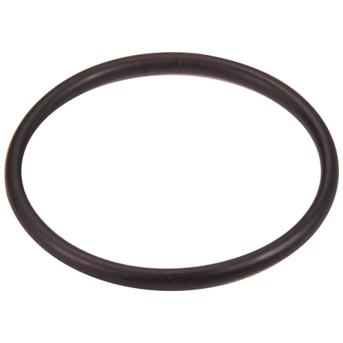 Thermostat Housing O-Ring Ford 4.6L