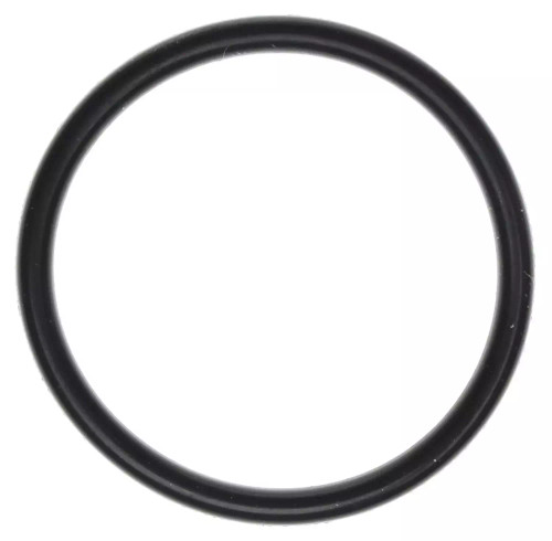 EFI Throttle Body O-Ring 05-10 Hemi 6.1L