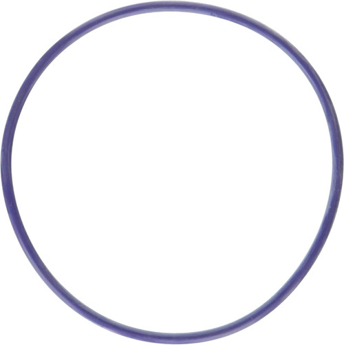 Water Pump Gasket 11-24 Ford 5.0L