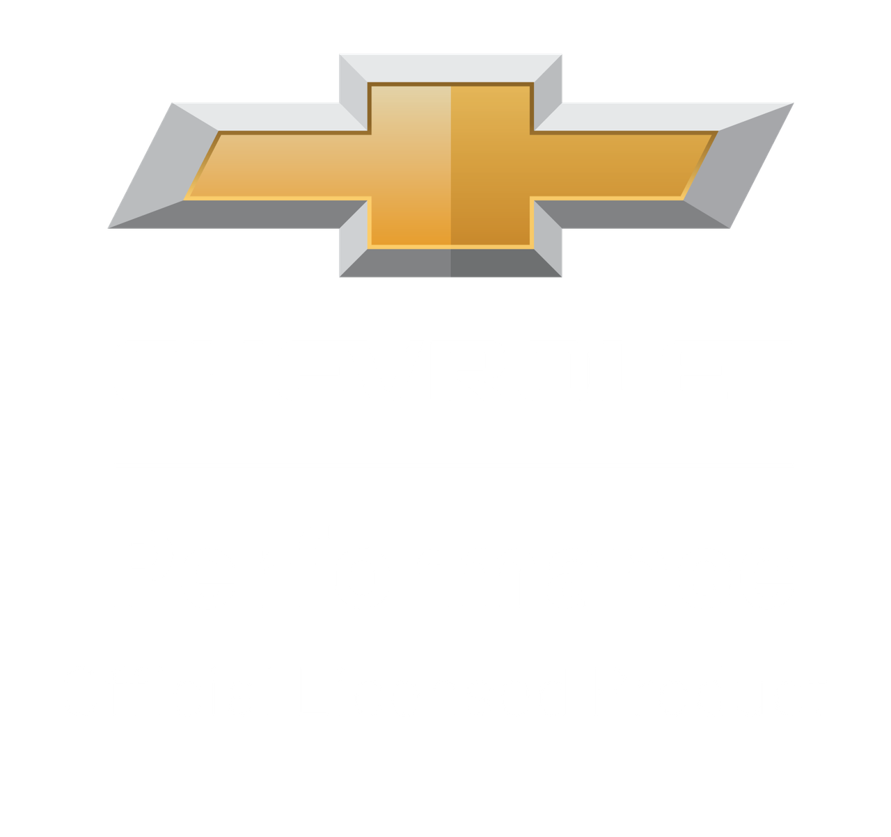 Proform Alternator; 100 AMP; GM 1-Wire; Slant-Edge; Raised Bowtie; Cast Gray Crinkle