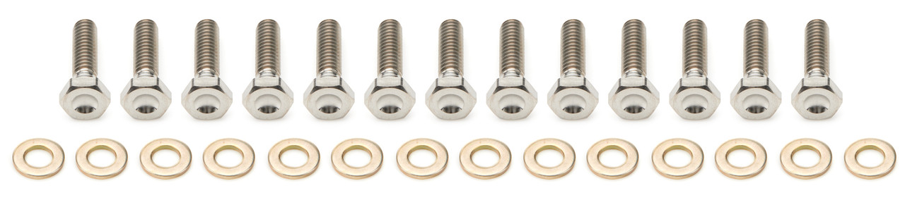 10in Beadlock Bolt Kit Titanium
