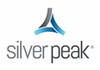 Silver Peak Silver Peak
