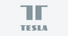 Tesla smart