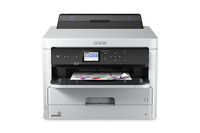 Epson Work Force Pro WF-C5290 Network Color Printer - C11CG05201